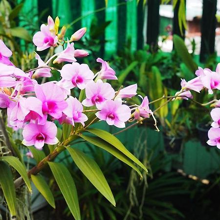 Kaloang Home Bangkok Eksteriør billede